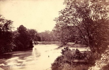 Man bathing in a river ceylon ca.1870
