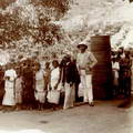 Tea Estate workers