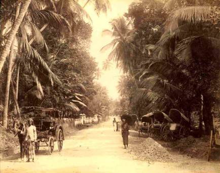 Road scene near Colombo, Ceylon c.1880