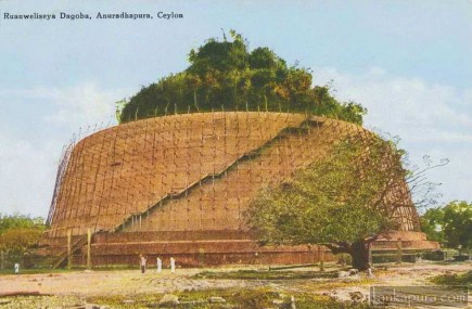 Ruanweliseya Dagoba Anuradhapura