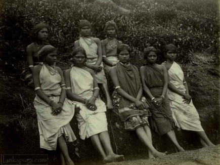 A Group of Indian Tamil Girls in Sri Lanka