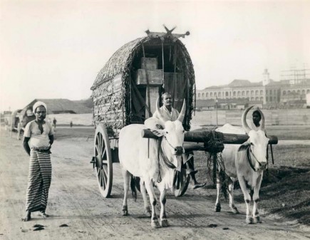 Ox cart near Colombo fort 1929