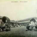 Bullock carts pass through Union Place Colombo