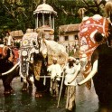 Kandy Perahera Sri Lanka c.1960-70