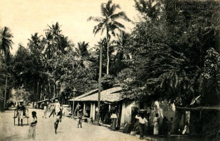 Colpetty Road, Mount Lavinia, Colombo, Sri Lanka 1919