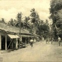 Cotta Road Colombo 1915