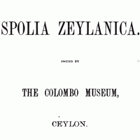 Spolia zeylanica by the Colombo Museum