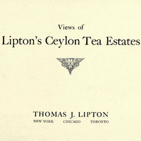 Views of Lipton's Ceylon tea estates